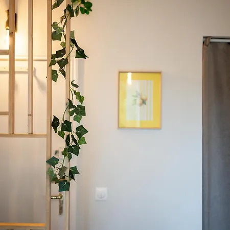 公寓 De Charme A - Ideal Teletravail - Balcon - A 300m 尼斯