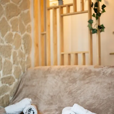 公寓 De Charme A - Ideal Teletravail - Balcon - A 300m 尼斯